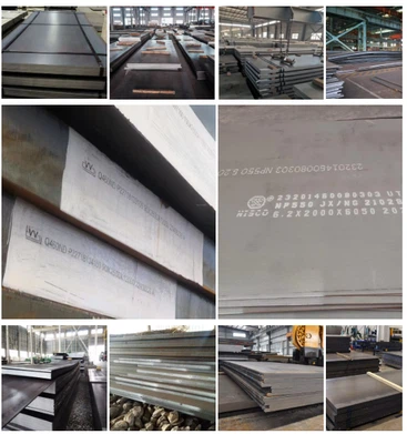 Supply Range & Dimensions Of P310NB Steel Plate Supply Range & Dimensions Of P310NB Steel Plate